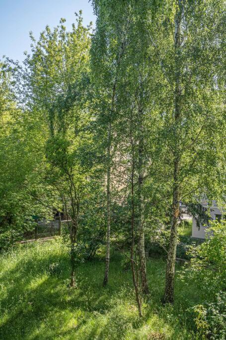 Rozana, Stary Mokotow Apartment Warsaw Luaran gambar